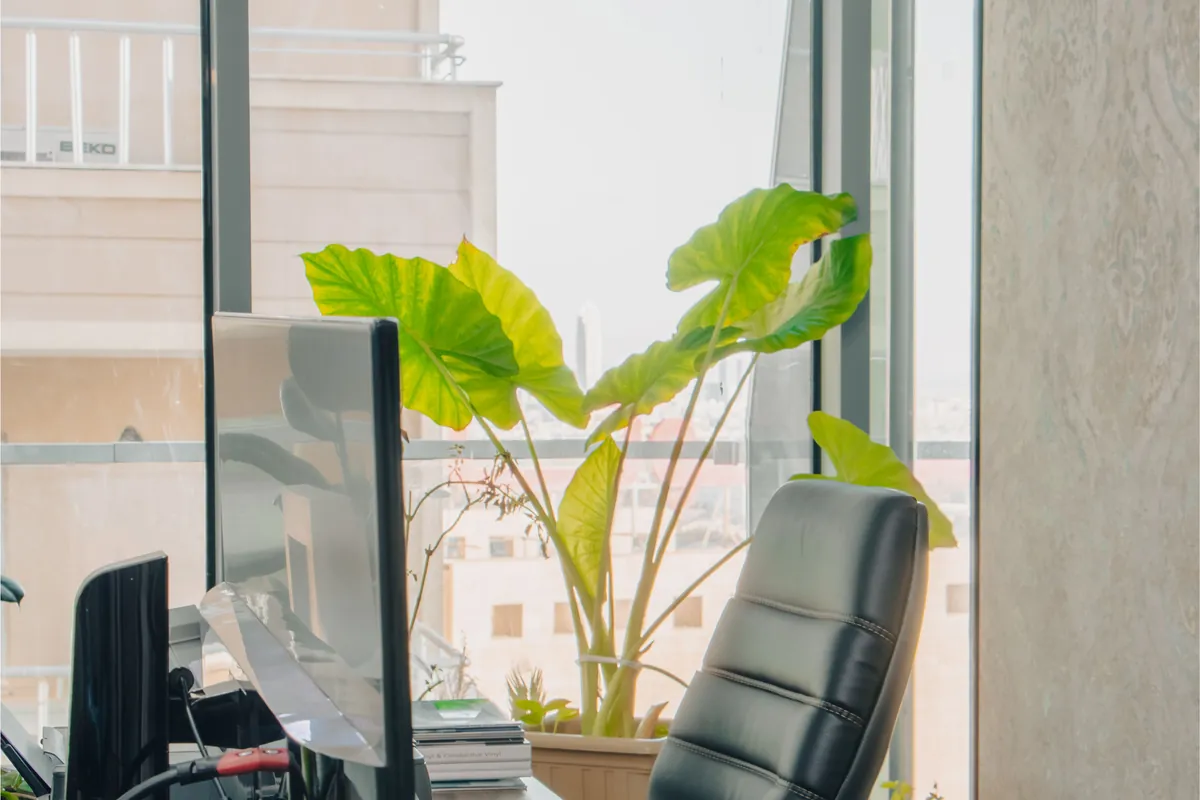 Desk by a window with a monitor, keyboard, and paperwork
