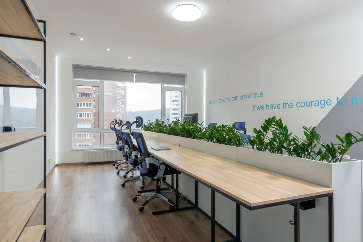 Long shared desks with task chairs and plants beside large windows
