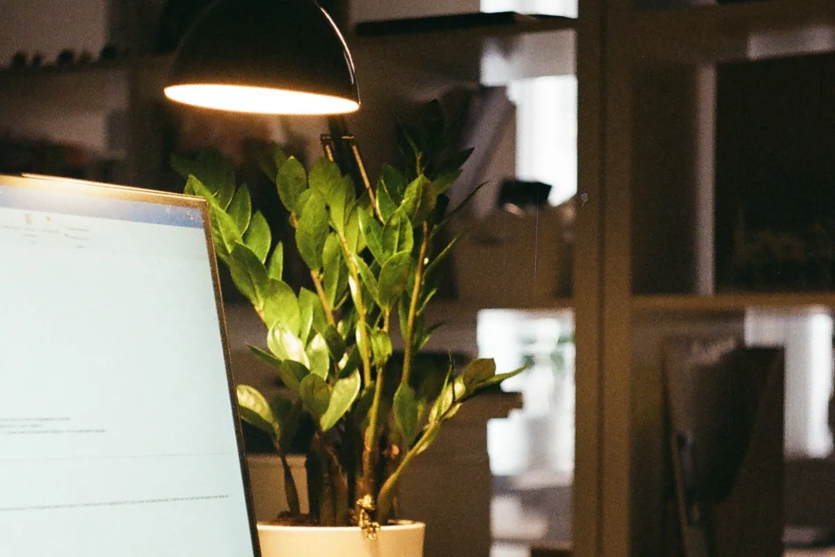 Desk lamp lighting a laptop in a dim office in the evening